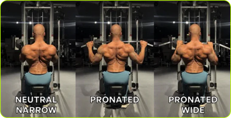 Back Exercises